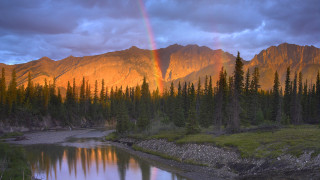 Rainbow mountain river forest sunset - a forest in the foreground free wallpaper