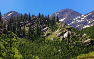 Mountain forest snow blue sky - the top of it free wallpaper
