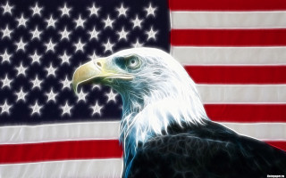 Bald eagle american flag digital - digital art free wallpaper