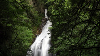 Waterfall forest trees tiltshift nature - a waterfall in the middle of a forest free wallpaper