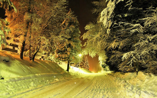 Snowy road fence trees night - a fence and trees free wallpaper