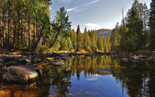River forest rocks blue sky - ansel adams free wallpaper