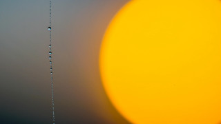 Yellow sun water droplets gray - a gray sky in the background free wallpaper