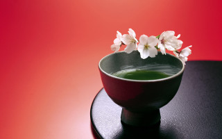 Small bowl green liquid flower - japanese free wallpaper for desktop