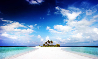 Deserted beach palm tree blue - a white sand beach free wallpaper