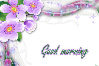 Purple flower morning stars hydrangea - a good morning free wallpaper
