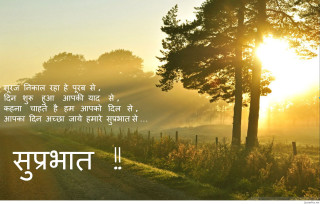 Road trees sunset quote city - tree and a sunset in the background free wallpaper