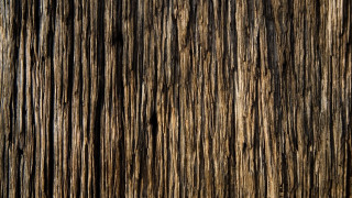 Wood texture brown black border - texture free wallpaper
