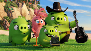 Angry birds guitar camera outdoors - angry bird free wallpaper