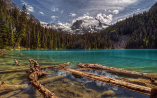 Mountain lake trees snowy mountain - a mountain lake free wallpaper