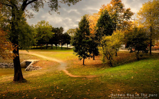 Autumn path trees water clouds - tree and a body of water free wallpaper