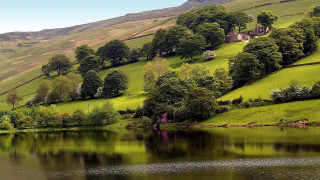 Lake green hills trees house 5 - lush green hill and trees free wallpaper