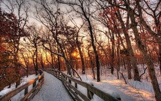 Wooden bridge snowy forest sunset - sunset free wallpaper
