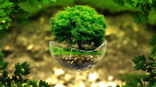 Tree vase green leaves rock - blender and photoshop free wallpaper