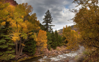 Hudson river fall foliage puzzle - yellow leaf free wallpaper