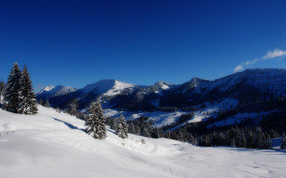 Snowy mountain trees blue sky 8 - edi rama free wallpaper