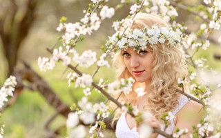 Daphne mcclure flower wreath portrait - white flower free wallpaper
