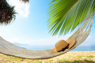 Hammock beach palm sky hat - a palm tree in the background free wallpaper