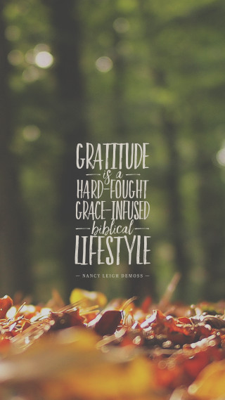 Gratefulness quote forest background leaves - character free wallpaper