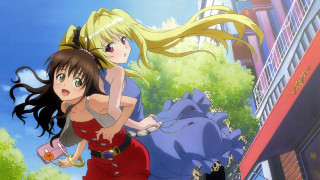 Red dress girls blue elephant - blue free wallpaper