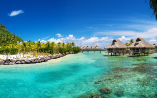 Tropical resort lagoon palm trees - tropical free wallpaper
