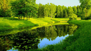 River forest greenery landscape sunlight - impressionist free wallpaper