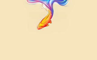 Long tail fish floating rainbow - tail free wallpaper
