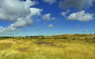 Field clouds trees mountains sunset - widescreen free wallpaper