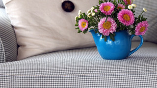 Blue pitcher flower couch folk - color scheme free wallpaper