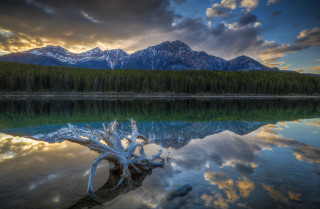 Lake tree stump mountains clouds - carl critchlow free wallpaper