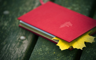 Red book yellow leaf park - a yellow leaf free wallpaper