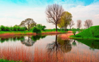 Pond trees grass blue sky 2 - impressionist free wallpaper
