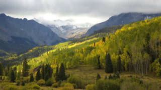 Mountain range forest clouds lake - regionalism free wallpaper for desktop