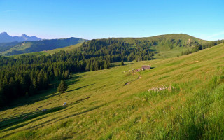 Grassy hill house mountains trees - the hillside free wallpaper