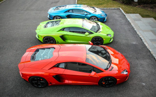 Three colored cars parking lot 5 - grass and bushes free wallpaper