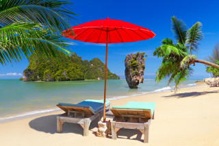 Beach lounge chairs umbrella palm - under free wallpaper for desktop