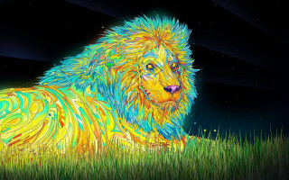Colorful lion night stars psychedelic - psychedelic free wallpaper
