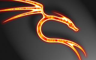 Glowing orange dragon shadow fire - dragon art free wallpaper