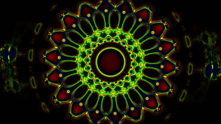 Colorful flower black background red - psychedelic art free wallpaper