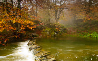 River forest rocks stonewall autumn - arthur b. carles free wallpaper