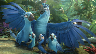 Blue birds forest flower light - free gaming wallpaper