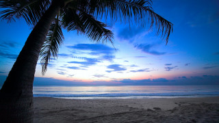 Palm beach sunset clouds ocean 2 - cui bai free wallpaper