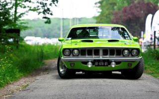 Green car forest grass nature - a road next free wallpaper
