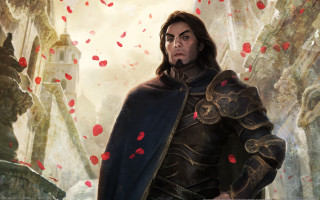 Armor cave red petals portrait - red petal free wallpaper