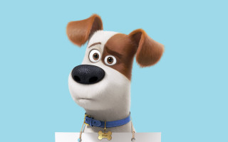 Dog collar sign furry animal - stanley artgermm free wallpaper