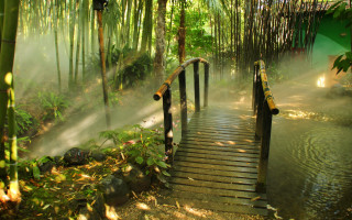 Bamboo woodenwalkway mist shining light - mist free wallpaper