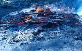 Fire wood fire primativism colorized - a fire pit free wallpaper