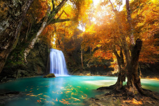 Waterfall forest blue pool autumn - impressionist free wallpaper