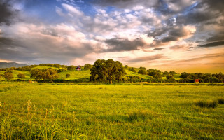 Cloudy sky field trees horizon - a house in the distance free wallpaper