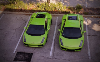 Lime green lambs parking lot - andries both free wallpaper